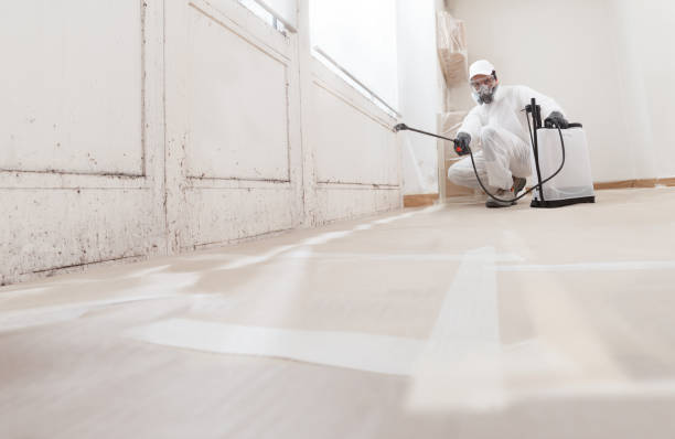 24/7 Emergency Basement Mold Remediation experts in Frenchville, PA